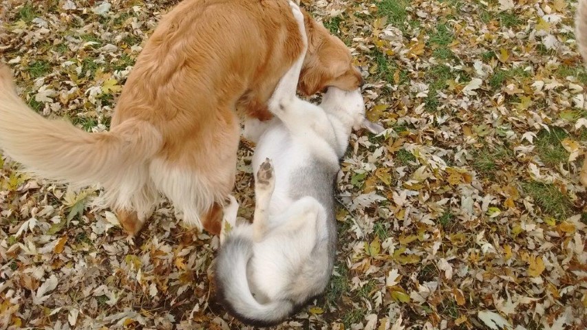 Mouth to Mouth!